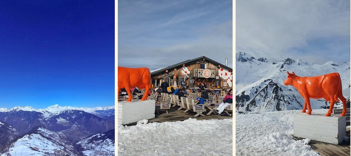 La Vache Orange - Gallery Image 2