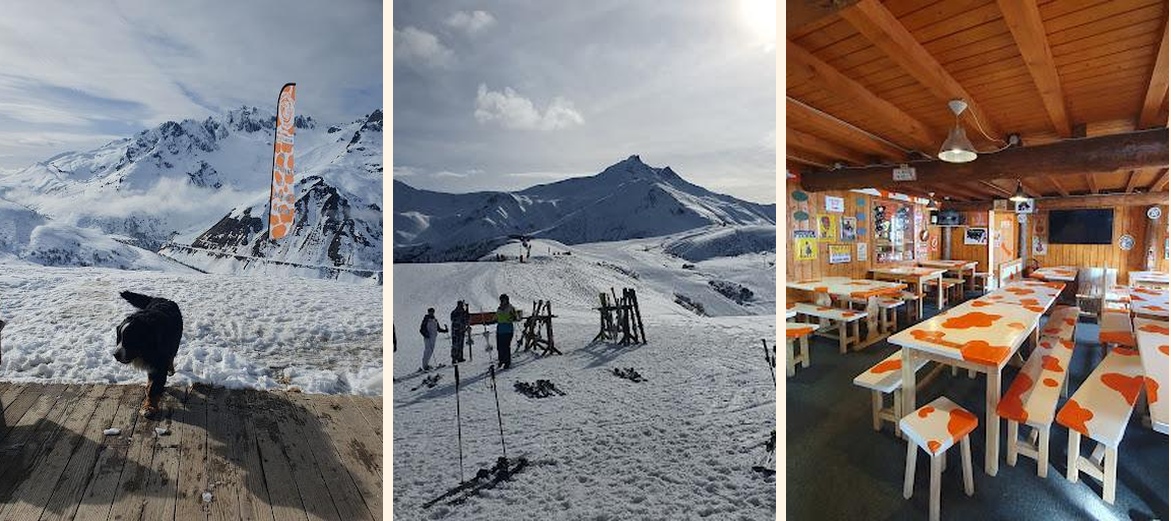 La Vache Orange - Gallery Image 3